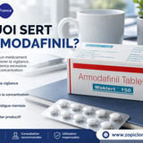 À quoi Sert l'Armodafinil
