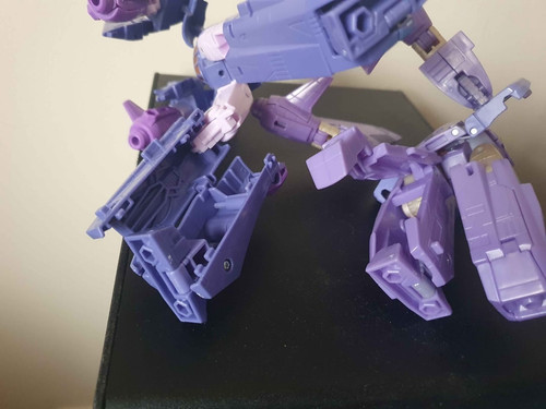 y06 (9).jpg