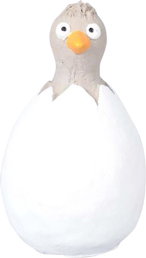 29221.jpg