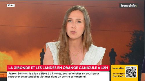 Le fil info (Franceinfo) 2026 07 29 11 54 50.ts snapshot 08.16.465