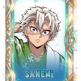 beachsanemi.png