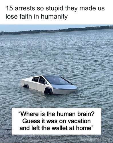meme 1.jpg