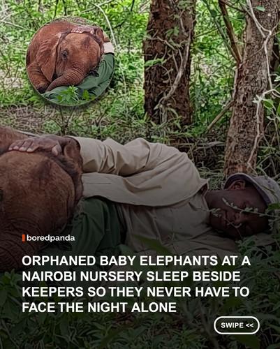 swipe to read.jpg