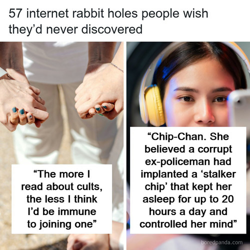 internet rabbit holes.jpg