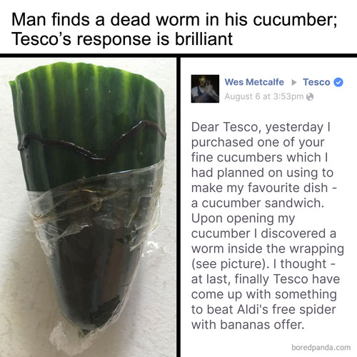 tesco cucumber worm funeral wes metcalfe.jpg