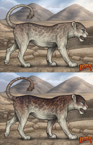 25252.jpg