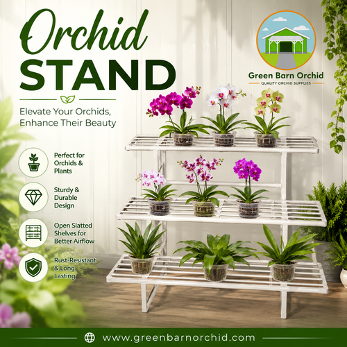 Orchid Stand: The Best Way to Display and Support Your Orchids.png