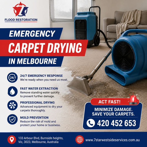 Emergency Carpet Drying in Melbourne | Fast Wet Carpet Restoration.jpg