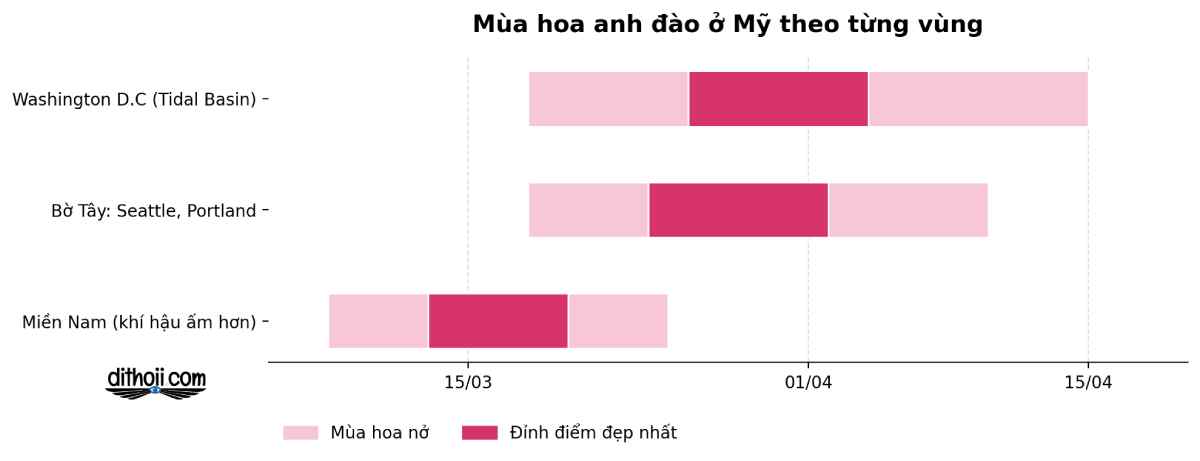 du lịch Mỹ mùa hoa anh đào