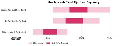 mua hoa anh dao.jpg