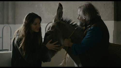 Non.abbiam.bisogno.di.parole.2026.2160p.NF.WEB DL.CZ IT.DD+5.1.DoVi.HDR.H.265 playWEB.mkv 20260730 0.jpg