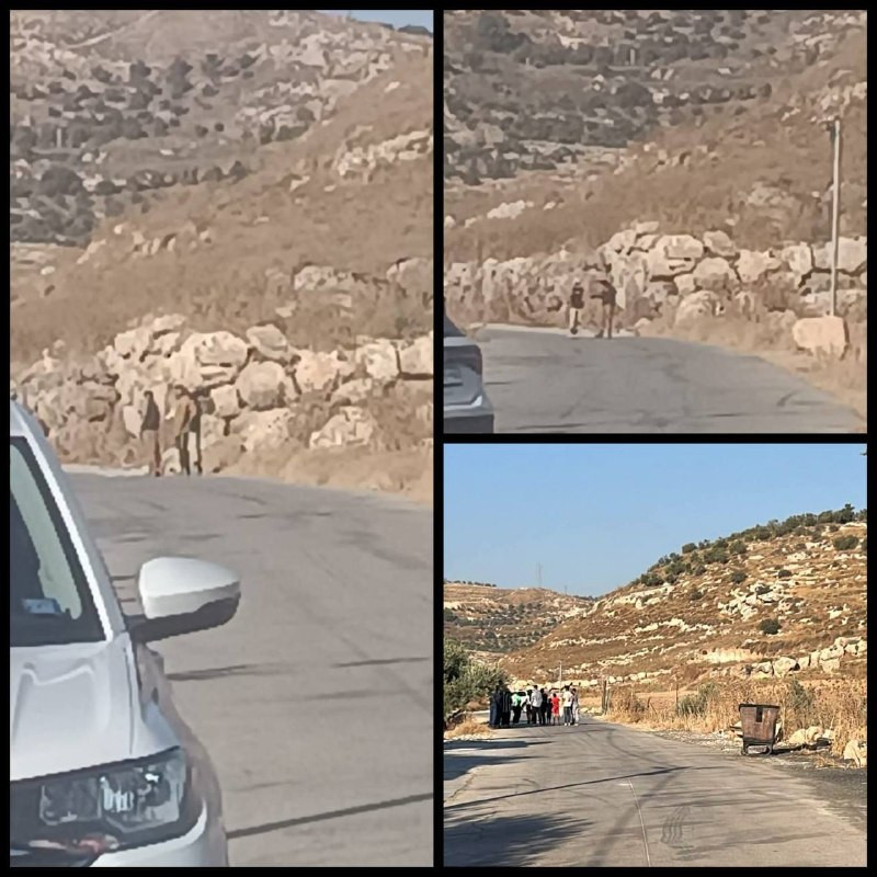 مستوطنون يقتحمون شرق إذنا غرب الخليل بالتزامن مع وجود المتضامنين الأجانب، حيث يقوم المستوطنون بإطلاق أغنامهم الآن في الأراضي المزروعة....
