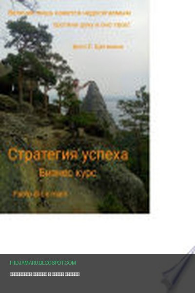 Обложка книги «Стратегия успеха» - Павел Ширшов