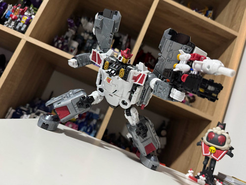 y08 (4).jpg