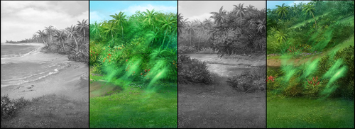 rabbitrainforest.png