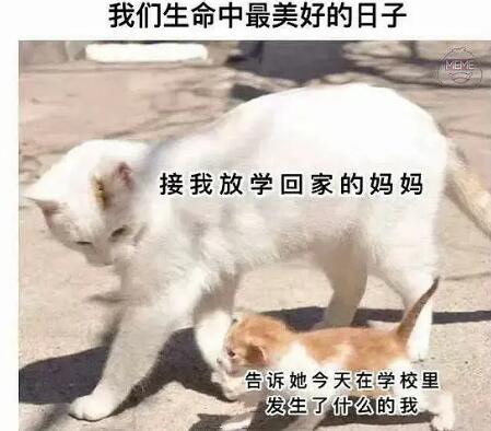 QQ截图20260730205830.jpg