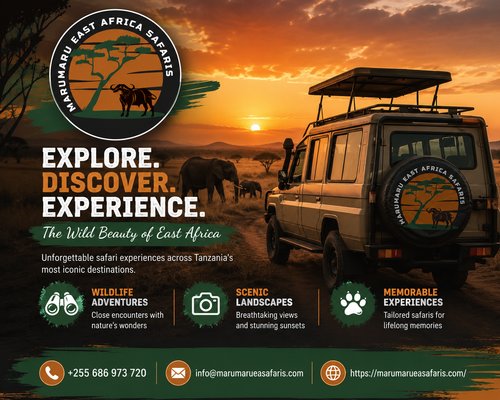 Explore. Discover. Experience. – The Wild Beauty of East Africa.png