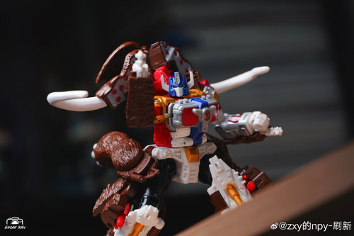 y09 (7).jpg