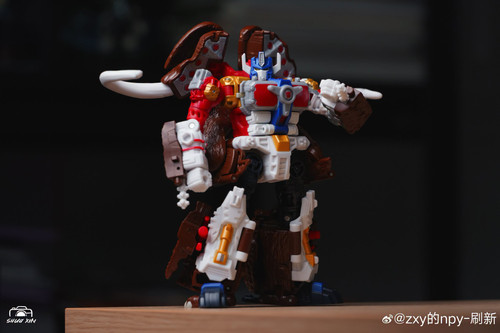 y09 (5).jpg