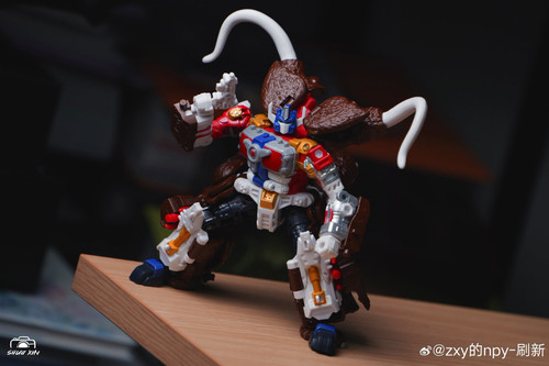 y09 (6).jpg