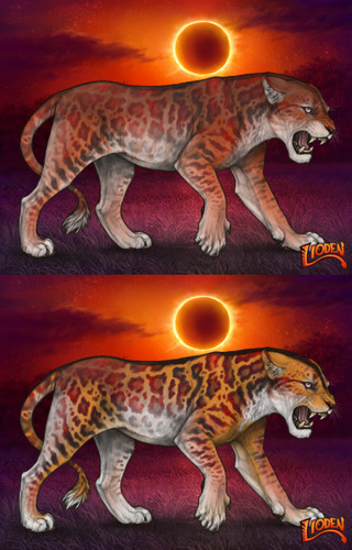 25276.jpg