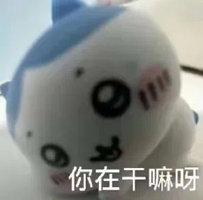 IMG 1600.jpg
