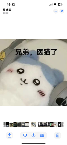 IMG 2127.png