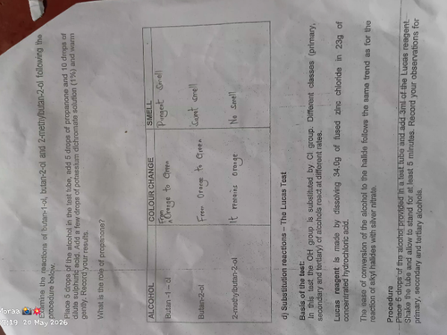 temp.png