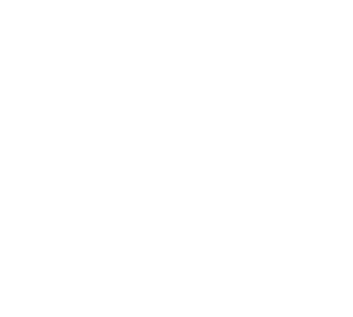 IMG 2776.png