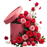 40509d29fce86c22f575643acc501732 removebg preview.png