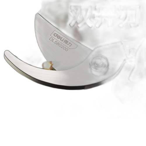 p3 image 1.jpg