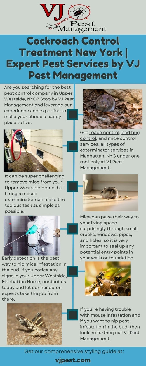 Cockroach Control Treatment New York  Expert Pest Services by VJ Pest Management.jpg