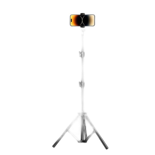 p5 image 5.jpg