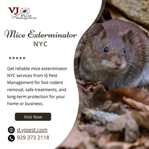 Mice Exterminator NYC  Fast & Trusted Pest Control.jpg