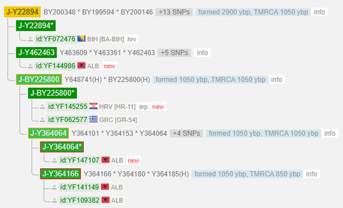 n1.png