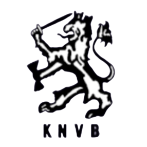 IMG 20260520 002845.png