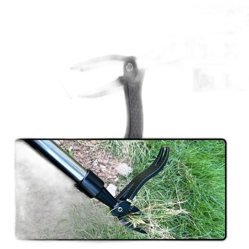 p2 image 1.jpg