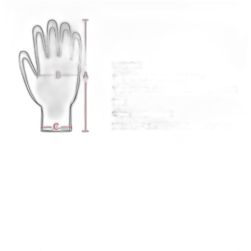 p1 image 4.jpg