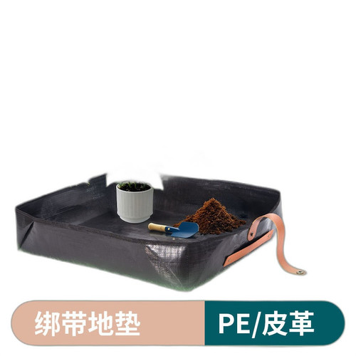 p4 image 1.jpg