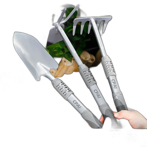 p2 image 1.jpg