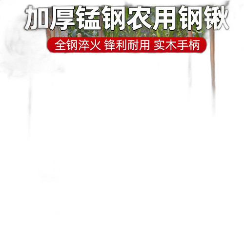 p1 image 1.jpg