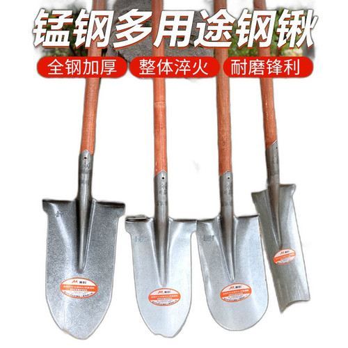 p1 image 2.jpg