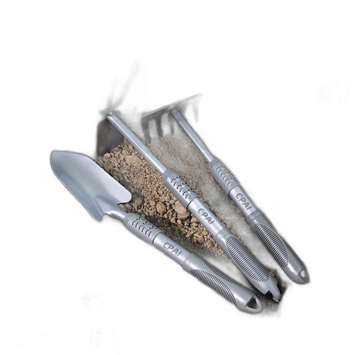 p2 image 2.jpg