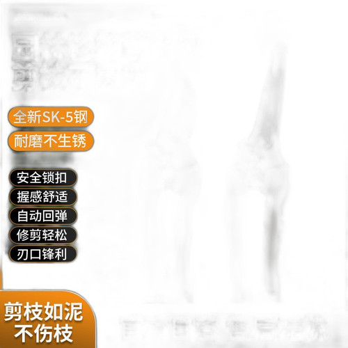 p3 image 2.jpg