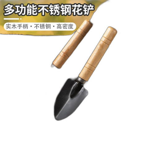 p3 image 4.jpg