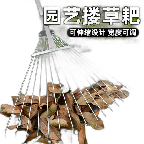 p1 image 1.jpg