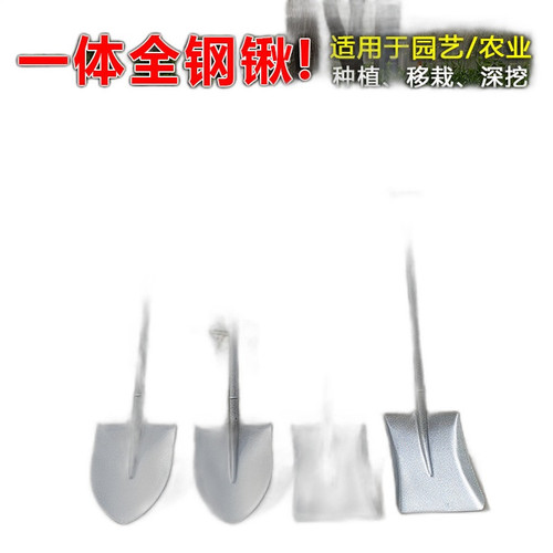 p5 image 1.jpg