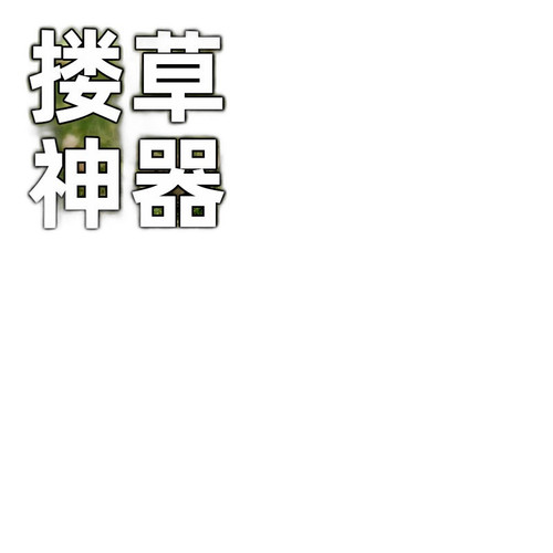 p1 image 2.jpg