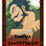 tamiyagantetsusai.png