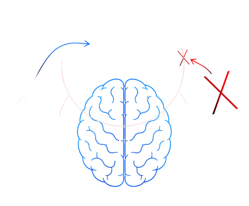 circle fase 2 elementor io optimized.webp